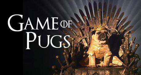 Pug-On-Royal-Thrown