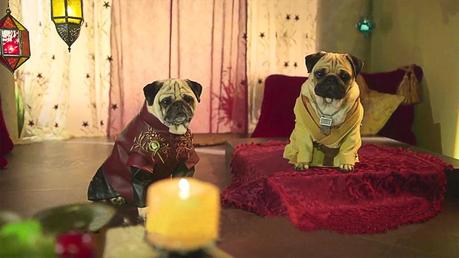 Two-Pugs-dressed-as_Tyrion-Lannister-and-Oberyn-Martell
