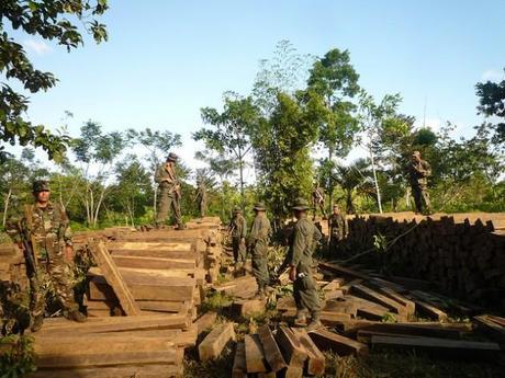 Troops from the special military battalion set up to protect Nicaragua’s forests confiscate an ilegal shipment of logs in the Bosawas Biosphere Reserve. Credit: José Garth Medina/IPS