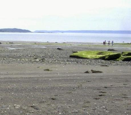 The Beach, The Sea, The Ocean