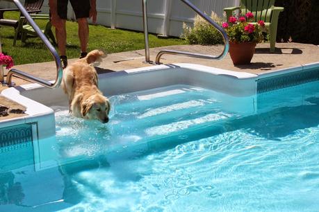 Saturday Swim Lessons