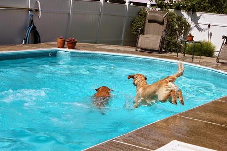 Saturday Swim Lessons