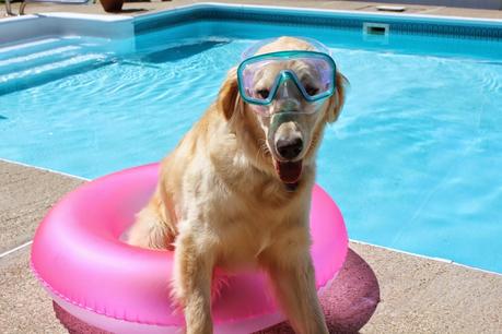 Saturday Swim Lessons