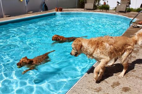 Saturday Swim Lessons