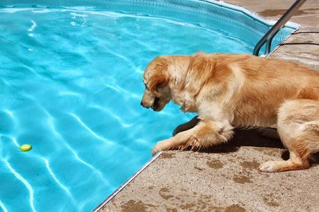 Saturday Swim Lessons