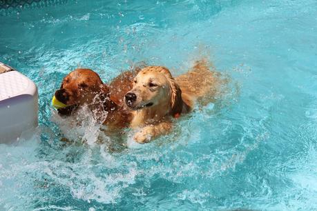 Saturday Swim Lessons