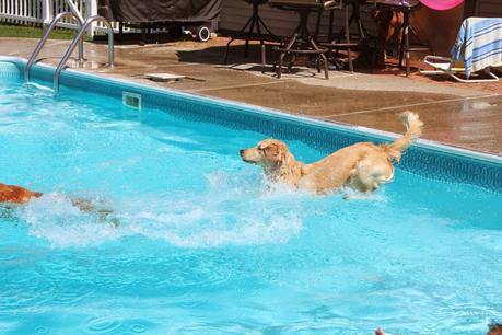 Saturday Swim Lessons