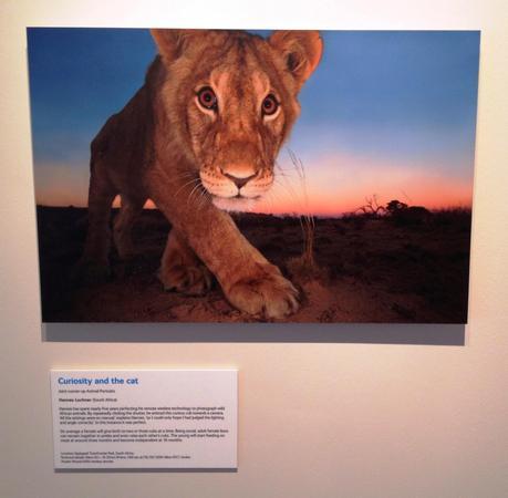 Wildlife Photographer of the Year at The CHQ Building