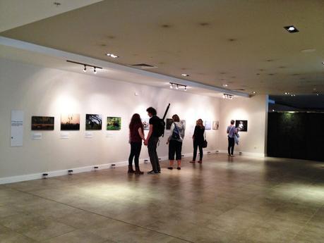 Wildlife Photographer of the Year at The CHQ Building