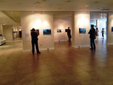 Wildlife Photographer of the Year at The CHQ Building