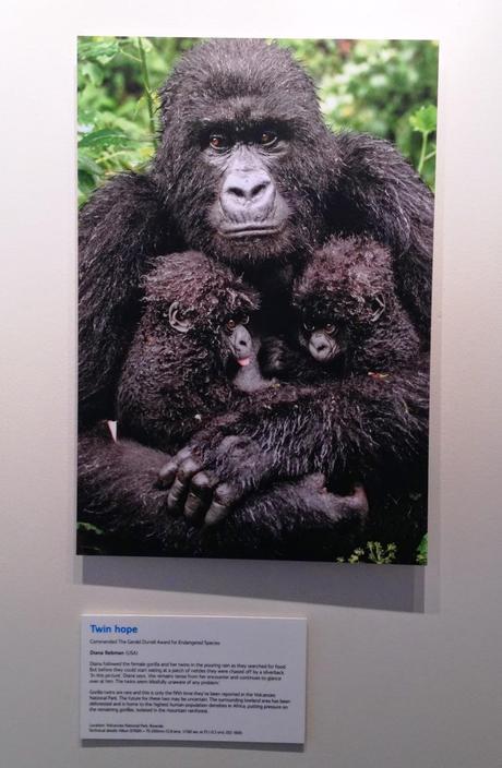 Wildlife Photographer of the Year at The CHQ Building