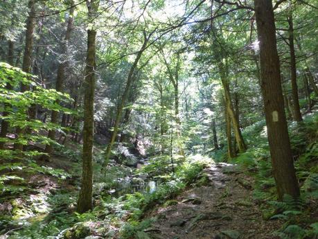 Day 73: Mercy Massachusetts!