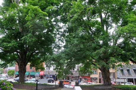 High Country Festival of the Book