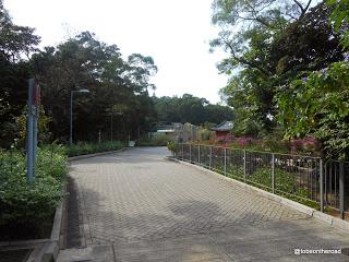 Hongkong,Lantau,Big Buddha,Backpack