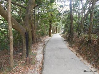 Hongkong,Lantau,Big Buddha,Backpack