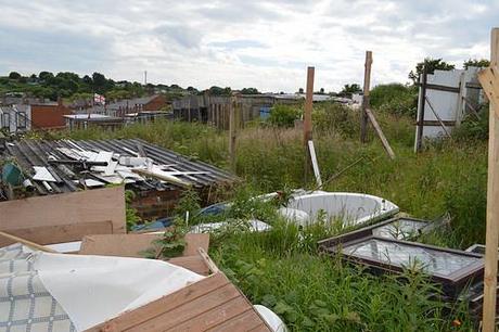 The Allotment