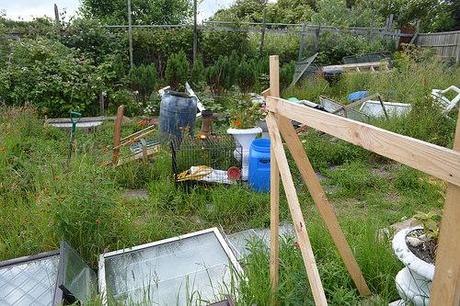 The Allotment