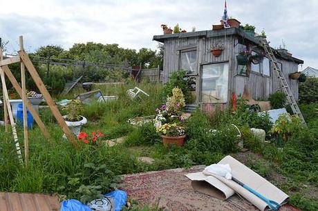 The Allotment