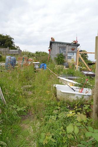 The Allotment