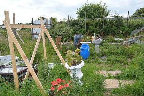 The Allotment