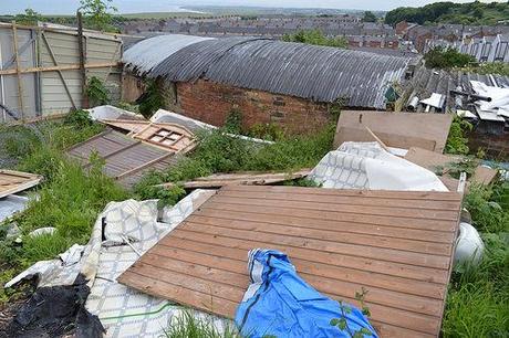 The Allotment