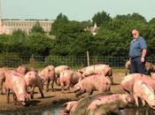 Texan Farmer Muslim Neighbors