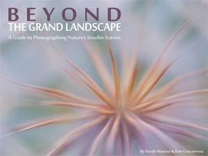 Beyond the Grand Landscape, Dreamscapes, Ian Plant, ebook