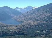 Should “Flathead National Forest 2.0″ Look? Conservation
