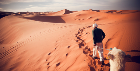 A Thrill-Seekers Guide to Morocco