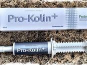 Protexin Pro-Kolin Plus Syringe