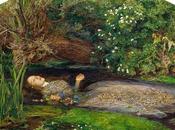 Portraits Sophia Gray