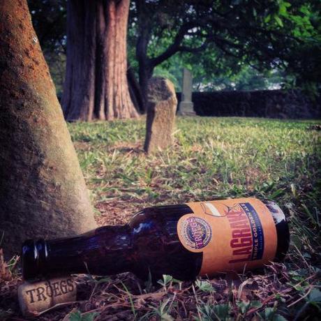 troegs-lagrave-belgian-beer-beertography-cemetary-photo-picture