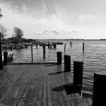 The Dog Has Gone Thurø