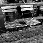 The Dog Has Gone Thurø