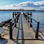 The Dog Has Gone Thurø