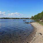 The Dog Has Gone Thurø