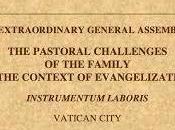 Vatican Document Pastoral Challenges Family: Problematic Framing "Communication" "Proclamation" "the Gospel Family"
