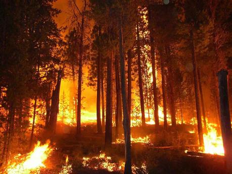How Does Global Warming Increase Wildfire Risk?