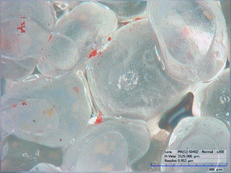 A magnified image shows partially wet sand grains (gray) with colloids (red)