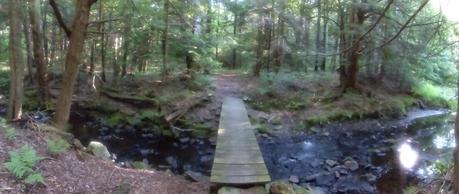 Day 75: Trail Monotony