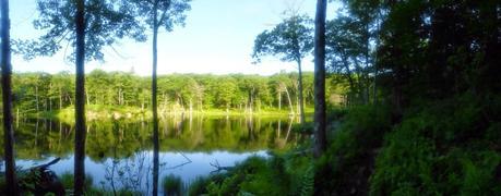 Day 75: Trail Monotony