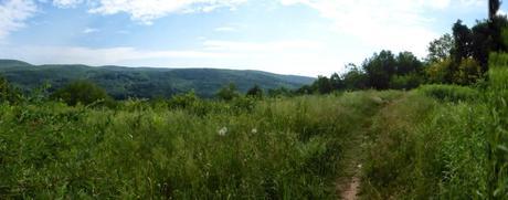 Day 75: Trail Monotony