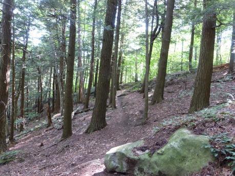 Day 75: Trail Monotony