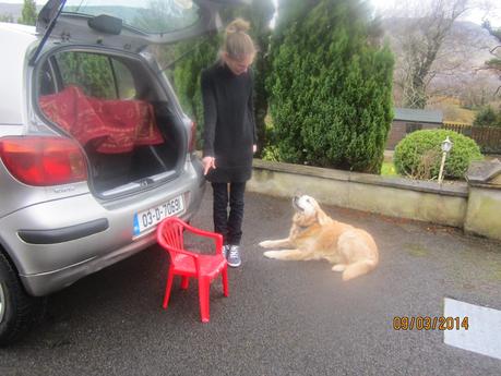 Weight Progress 2013 -  2014