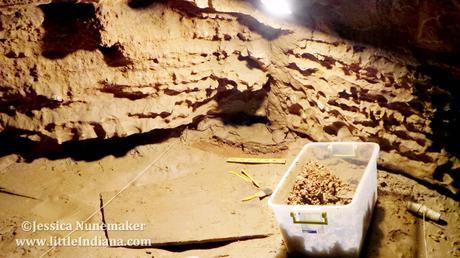 Indiana Caverns Paleo Dig in Corydon, Indiana