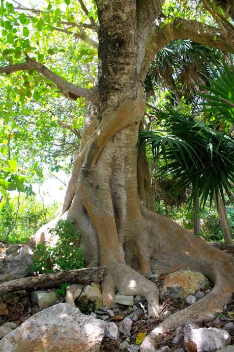 Traveling to Tulum