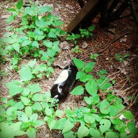 A 40 of Guinness in the wild