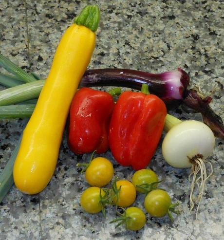I picked these today: 1 summer squash, 2 red peppers, several yellow cherry tomatoes, and 2 onions (1 red and 1 white).  Dinner will be a delicious affair!