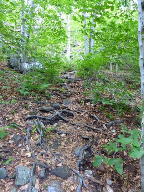 Day 76: Town Hopping