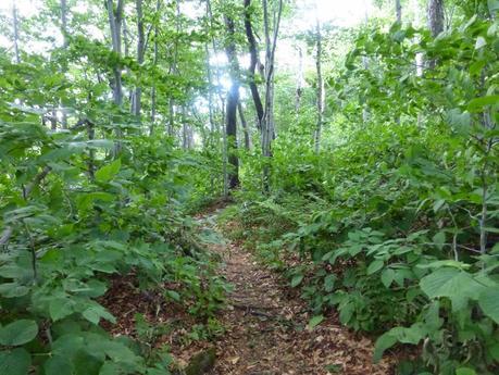 Day 76: Town Hopping